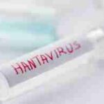World Health Organization Reports 6 Confirmed Hantavirus Cases Linked to Spain-Bound MV Hondius Cruise