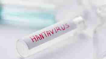 World Health Organization Reports 6 Confirmed Hantavirus Cases Linked to Spain-Bound MV Hondius Cruise