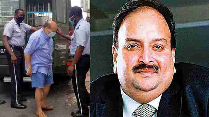 Another setback to Mehul Choksi: Belgian court rejects fresh bail plea of key accused in PNB scam case