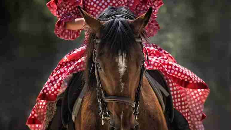 Ponywallahs Facing A Loss Of Rs 2 Crore A Day In Pahalgam
