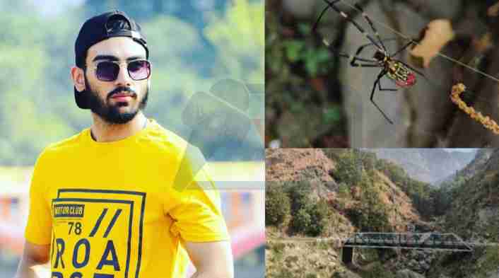 Young Researcher Saqib Masood Salaria from Marmat, Doda discovered Joro Spider