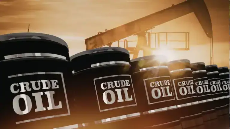 Iran War Impact: Russia Steps Up Energy Supply Offer to India