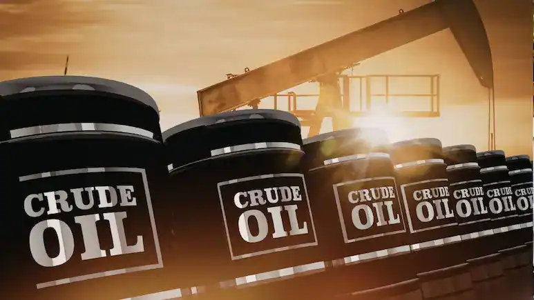 Iran War Impact: Russia Steps Up Energy Supply Offer to India