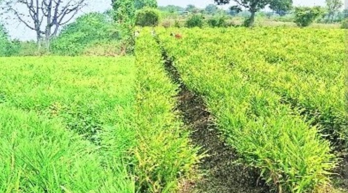 Kishtwar Selected as Aspirational Agricultural District under PM Dhan Dhaanya Krishi Yojana