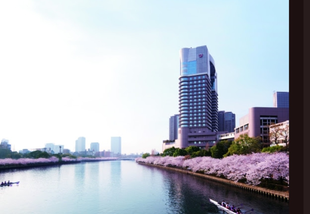 Spring Begins: Global Stays That Carry Renewal Forward