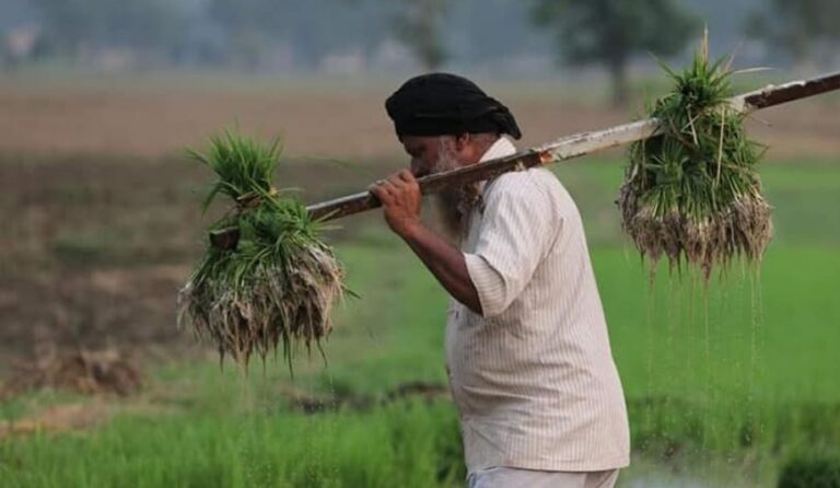 Over 9.32 Crore Farmers Receive ₹18,640 Crore Under PM-Kisan 22nd Installment via DBT