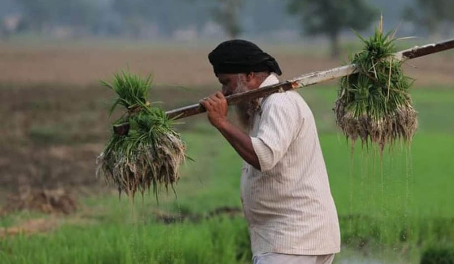 Over 9.32 Crore Farmers Receive ₹18,640 Crore Under PM-Kisan 22nd Installment via DBT