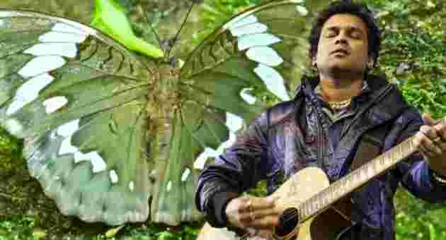 Euthalia (Limbusa) zubeengargi: New Butterfly Species Found in Arunachal Pradesh Honours Zubeen Garg