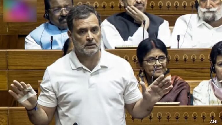 Rahul Gandhi Dual Citizenship Row: Allahabad High Court Defers Order