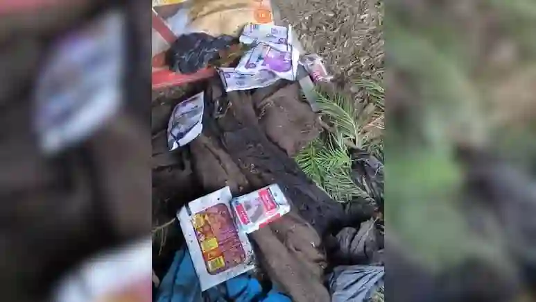 J-K: Security Forces Bust Jaish-e-Mohammad Hideout in Kishtwar Mountains