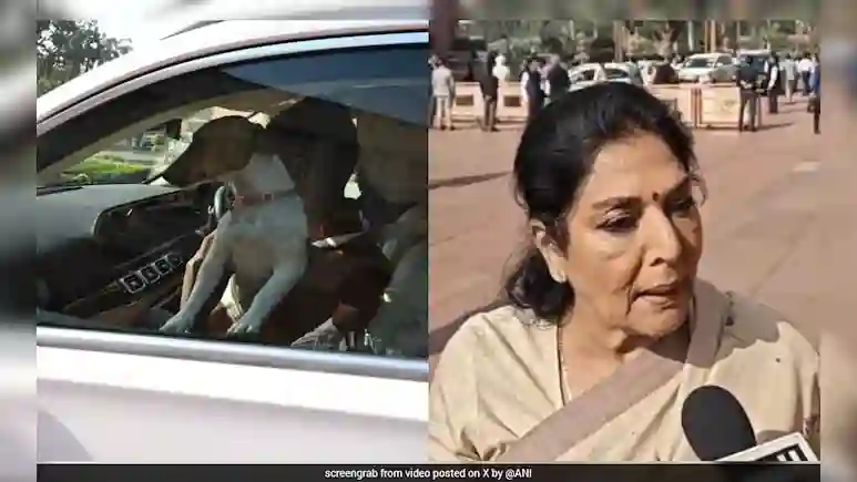 Congress MP Renuka Chowdhury Served Privilege Notice Over 'Dog In Parliament' Row