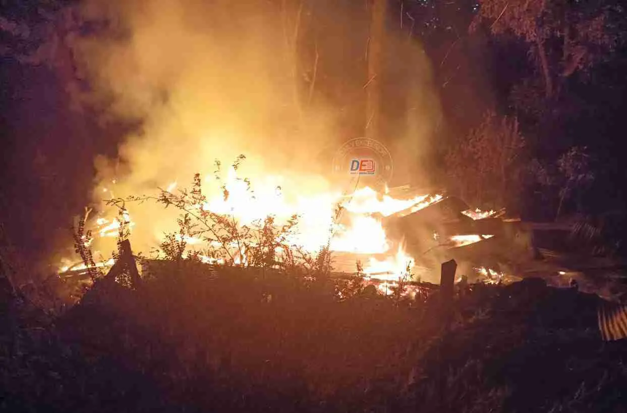 Fire Claims Lives of 74 Goats and Sheep in Kishtwar, Jammu and Kashmir
