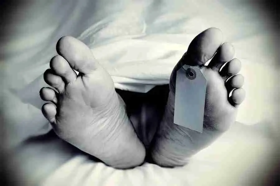 Elder Brother Fatally Attacked by Younger Sibling in Doda Land Dispute