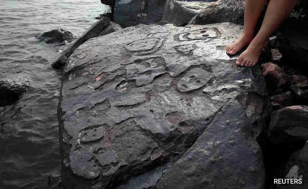 Ancient Amazon River Stone Carvings Emerge Amid Record Low Water Levels