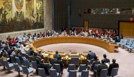 India Dismisses Pakistan's Kashmir Reference at UN Security Council Meeting