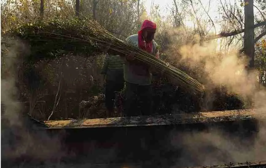 Srinagar Hits Season's Coldest Night at -1.8°C, Sub-zero Temperatures Across the Valley