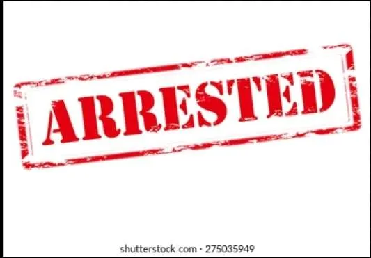 Three Apprehended in Bemina J-k for attack on Policeman