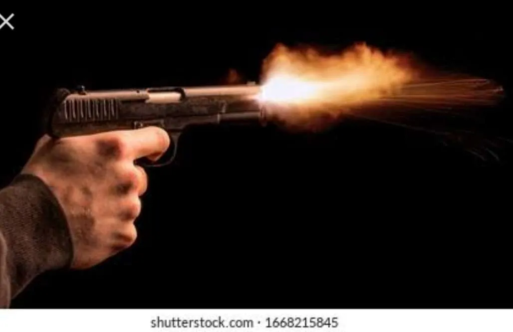 Deadly Gun Attack in Srinagar one dead,Another Injured