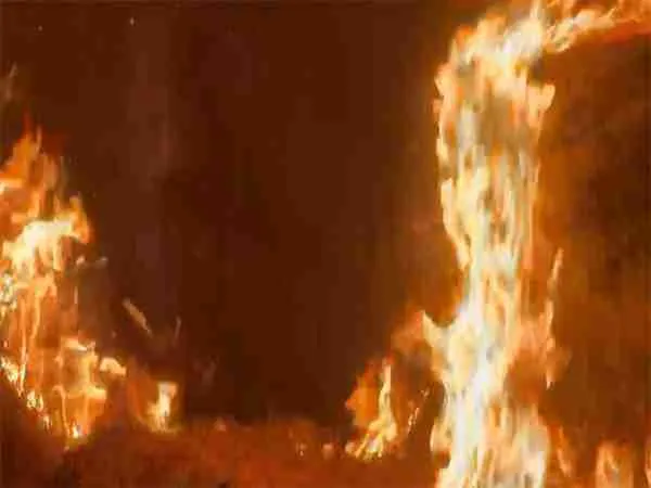 Massive fire breaks out in JK's Ramnagar forest division