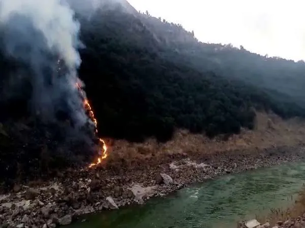 Pakistan finds it hard to control forest fires as heatwave sweeps nation