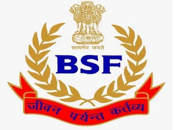 China-made drone recovered in Punjab's Tarn Taran: BSF
