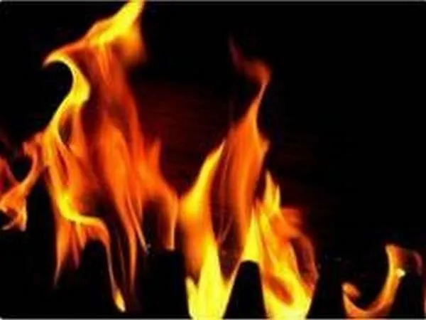 Luxury bus catches fire in Pune, no injuries reported