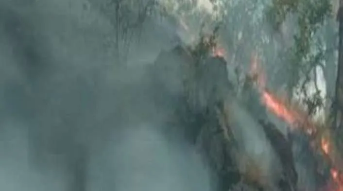 J-K: Fire breaks out in Bali-Tirshi block of Udhampur forest range