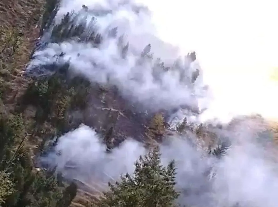 Massive Forest Fire Erupts in Compartment No. 47 of Marmat hills ; Efforts Ongoing to Contain Blaze