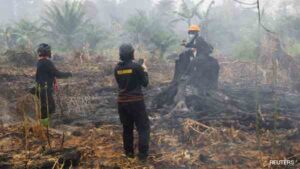 Indonesia Wildfires May Last Until November