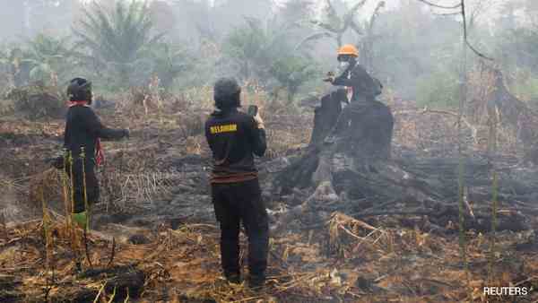 Indonesia Wildfires May Last Until November