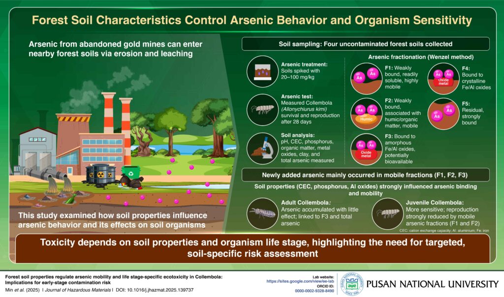 Pusan National University Researchers Reveal How Forest Soil Properties Influence Arsenic Mobility and Toxicity in Soil Organisms