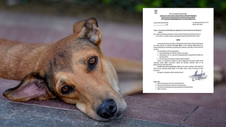 J-K Teachers Directed To Monitor, Report Stray Dog Population Around Schools