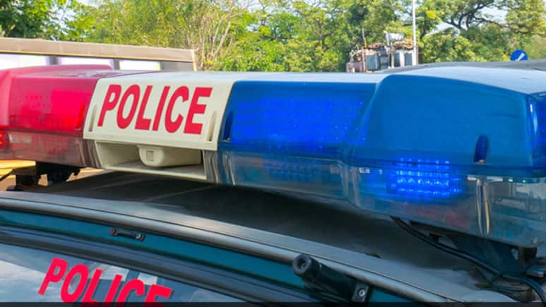 Van-SUV Collision In Madhya Pradesh Kills 12